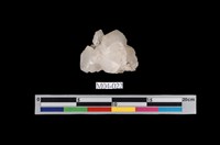 藏品(方解石)的圖片